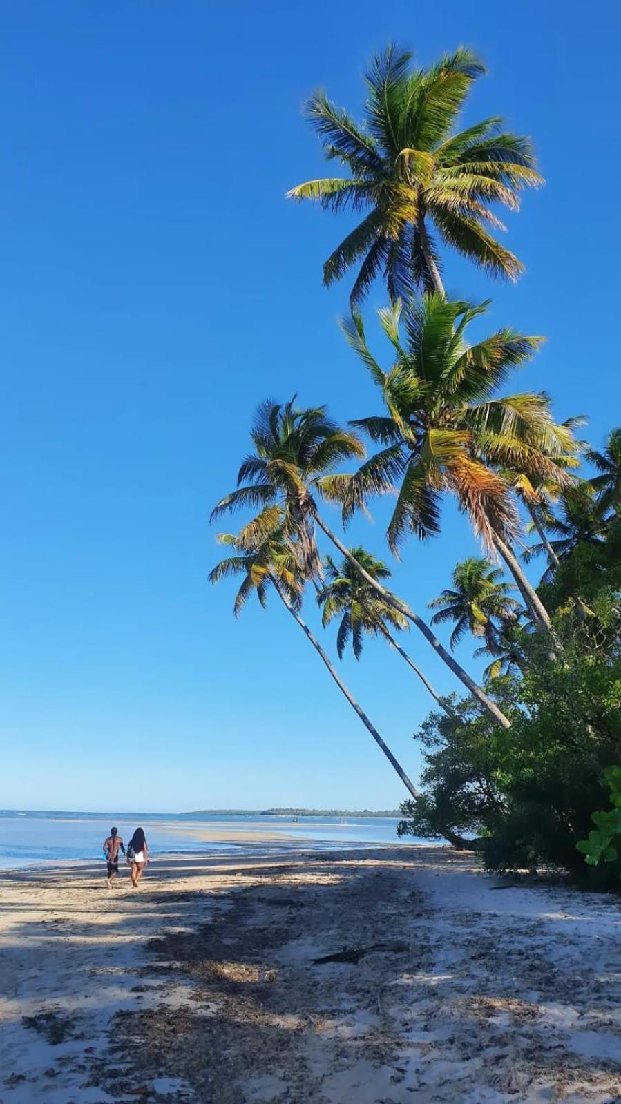 Pousada Village Feliz Boipeba Velha Boipeba ภายนอก รูปภาพ
